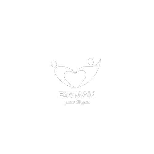 EgyptAid